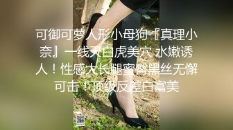 火爆全网91大神sweattt完整原版 专约极品白富美绿茶婊7部