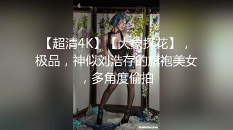 【超清4K】【大象探花】，极品，神似刘浩存的旗袍美女，多角度偷拍