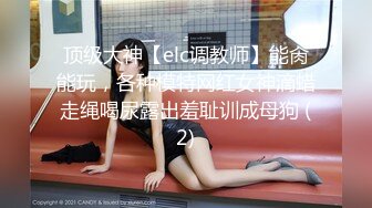 顶级大神【elc调教师】能肏能玩，各种模特网红女神滴蜡走绳喝尿露出羞耻训成母狗 (2)