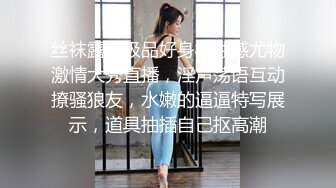 艺校传媒系毕业高挑大长腿美模璐璐酒店大尺度私拍透明黑丝太完美