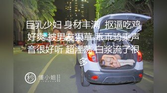 户外车震良家少妇（全集）