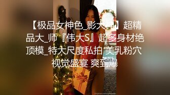 【极品女神色_影大神】超精品大_师『伟大S』超多身材绝顶模_特大尺度私拍 美乳粉穴 视觉盛宴 爽到爆