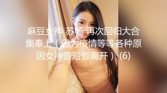 【性爱泄密重磅极品】清纯欲女二次元小姐姐的网袜游戏 扛腿猛操+网袜后入+跪舔深喉 完美露脸 (2)