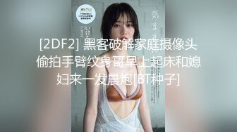 顶级美乳花臂纹身外围极品女，扒掉内裤小背心，揉捏两个大奶子，超近视角深喉，翘起屁股抽插美臀，持续输出爆操