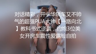 对话精彩，开中华轿车又不帅气的超强PUA大神【一路向北】教科书式逆袭，约炮3位美女开房车震性爱露脸自拍