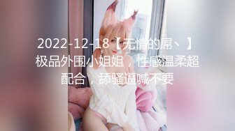 一流女优  クリスティーン