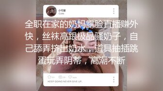 巨乳袭人 陆梓琪