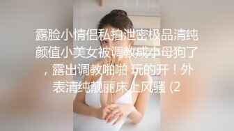 呆哥 重磅豪华精品大片高端约会系列-调教性感网袜车模Amy小艾米