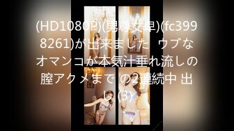 黎菲儿-元宇宙 梦幻现实之中的巨乳女仆 挑逗版[120P+1V/824M]