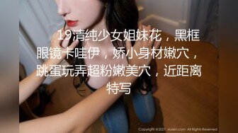 不卡无码人妻一区二区三区