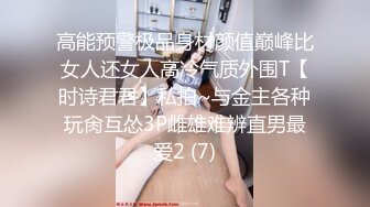 吐血推荐秀人网美乳模特尔兰酒店超大尺度私拍被摄影师用毛笔玩粉嫩小穴菊花