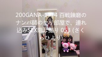 200GANA-1714 百戦錬磨のナンパ師のヤリ部屋で、連れ込みSEX隠し撮り 053 (さくらひより)