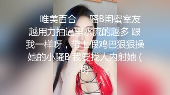 【AI换脸视频】赖美云 身穿性感内衣，用心服务客户[下]