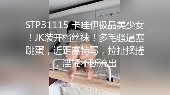 高端摄影大神 无尘摄影 超美的 人体摄影写真 更新至 2月2V