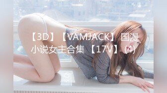 【3D】【VAMJACK】 国漫小说女主合集 【17V】 (4)