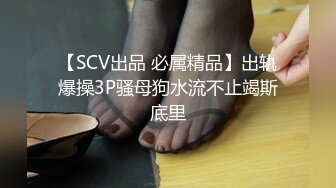 【经典厕拍】✅✅SVIP每期500RMB绝版厕拍❤️大堂 空姐原版流出共10期之第1期1 (7)