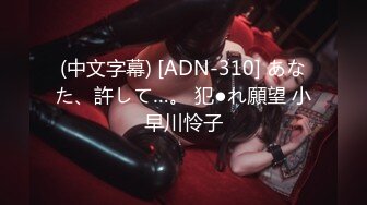 (中文字幕) [ADN-310] あなた、許して…。 犯●れ願望 小早川怜子