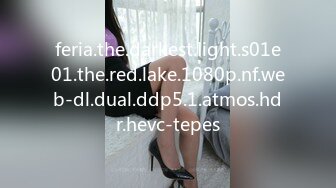 feria.the.darkest.light.s01e01.the.red.lake.1080p.nf.web-dl.dual.ddp5.1.atmos.hdr.hevc-tepes