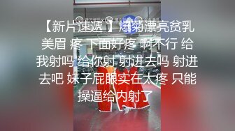 2024-1-29酒店偷拍 带着宠物狗开房的高学历情侣大屌男后入干得女友抓紧床一脸享受