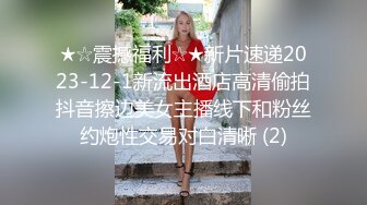 荡妇的风流故事