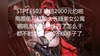 【超美颜值美艳女神】秀人超人气女神『杨晨晨』超长剧情新作《爆乳女神的晚餐》吃我还是吃粽子