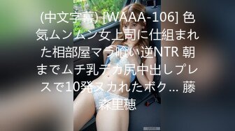 TAMA-028 僕の前でわざとチラリ露出する人妻OLが淫語で挑発してきて…佐佐木明希