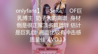 onlyfans】❤️SeRa❤️OF巨乳博主  奶子大的离谱  身材倒是很正常顶多算微胖 估计是巨乳症  画面比较有冲击感 质量佳《VO.1》